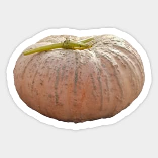 Pale Orange Pumpkin for Halloween Decoration Sticker